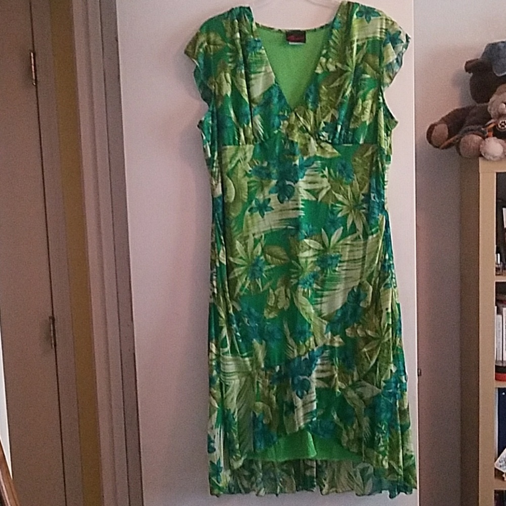 Torrid dress